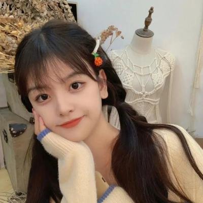 51区：中情局的机密文件